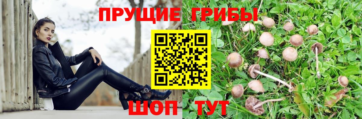 Псилоцибиновые грибы Cubensis  Галлюциногенные грибы Psilocybine cubensis  Вход с VPN  Пугачёв 