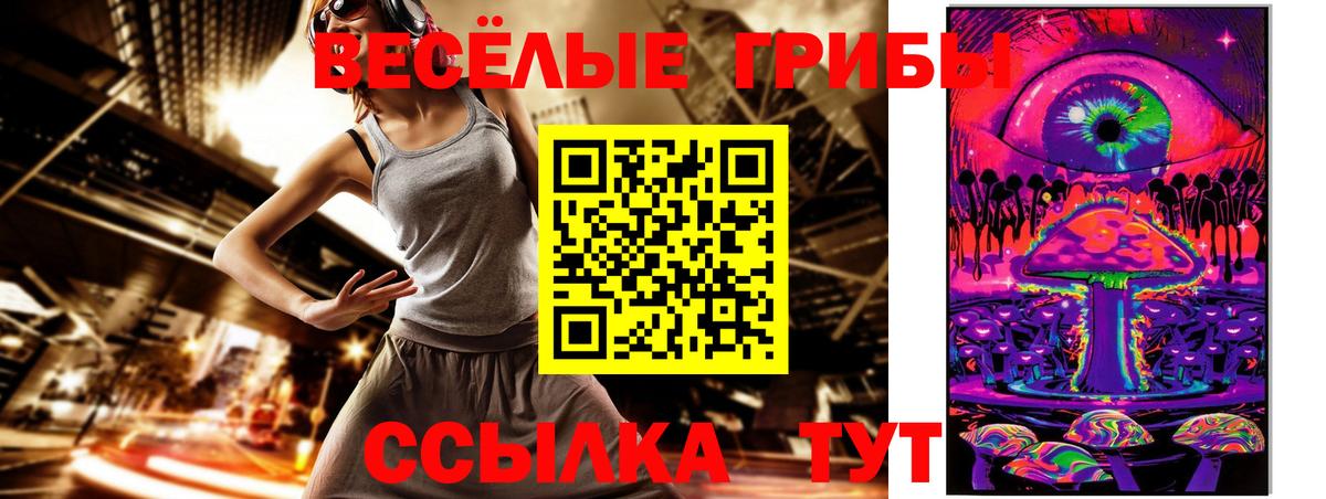 Галлюциногенные грибы GOLDEN TEACHER Пугачёв